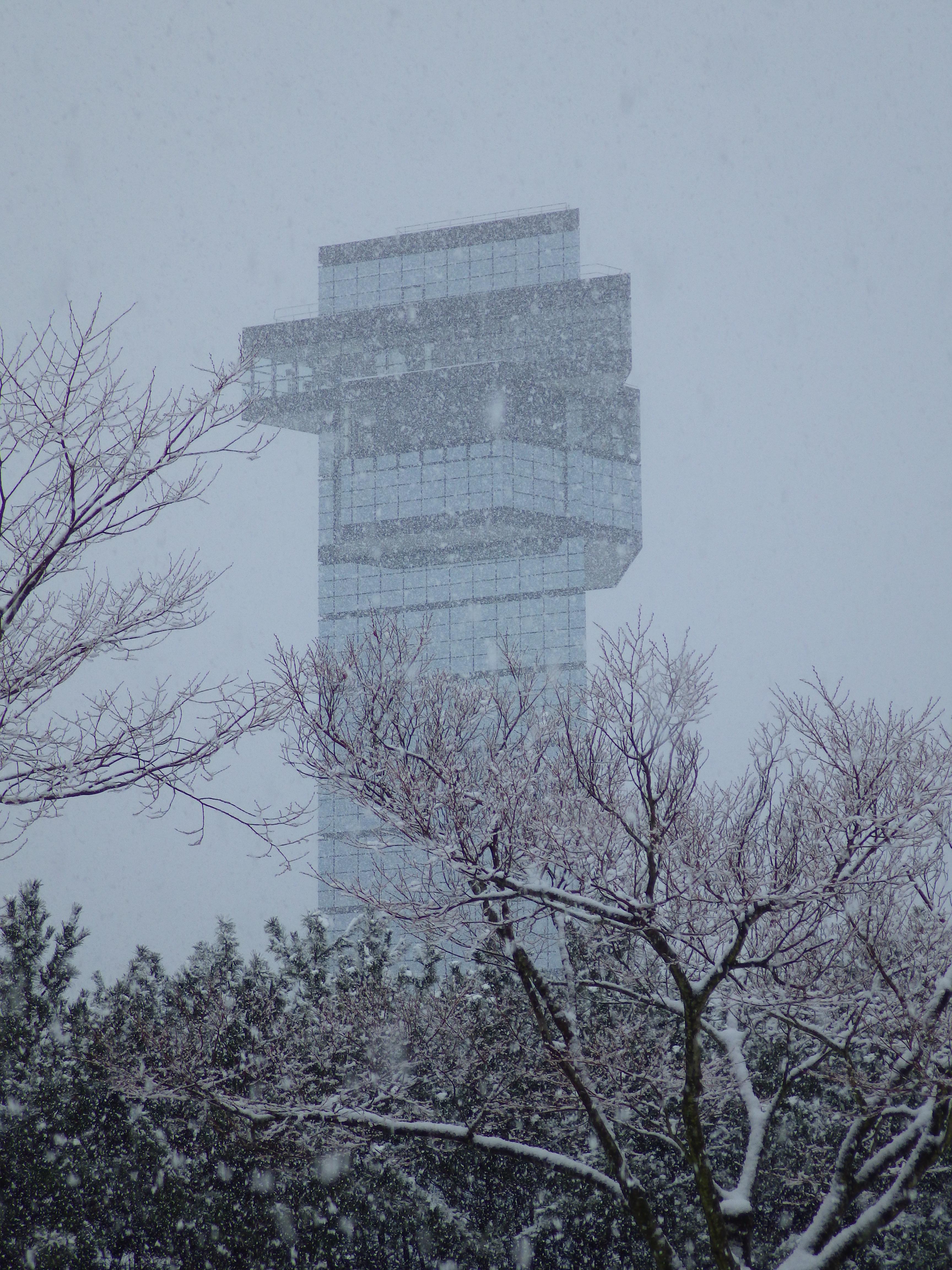 雪 大洗 徒然なままに